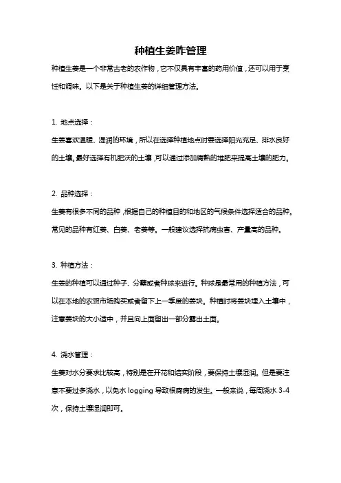 种植生姜咋管理