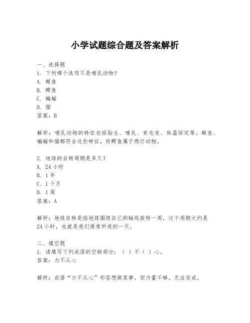 小学试题综合题及答案解析