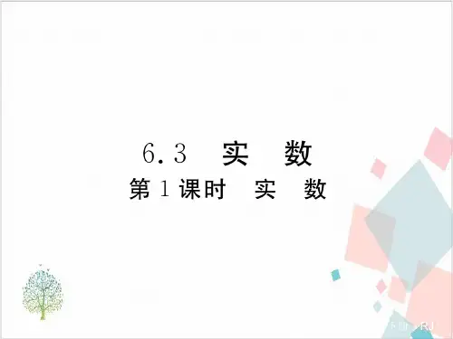 人教版数学《实数》_课件-完美版