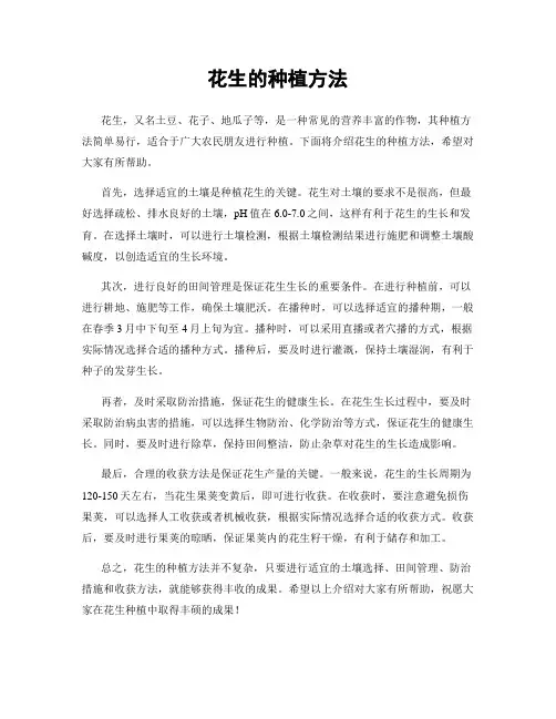 花生的种植方法
