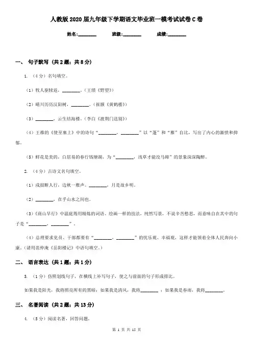 人教版2020届九年级下学期语文毕业班一模考试试卷C卷