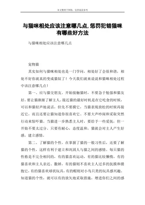 与猫咪相处应该注意哪几点,惩罚犯错猫咪有哪些好方法
