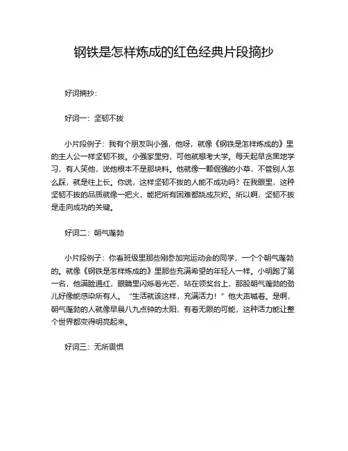 钢铁是怎样炼成的红色经典片段摘抄
