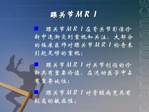 踝关节mri ppt课件