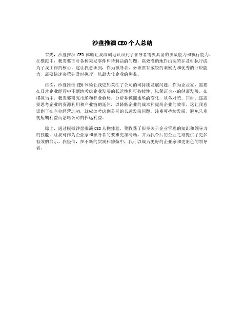 沙盘推演CEO个人总结