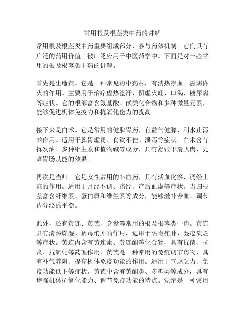 常用根及根茎类中药的讲解