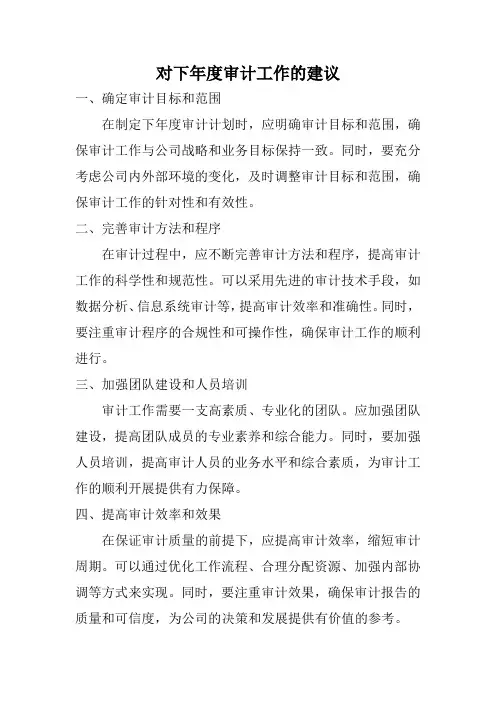 对下年度审计工作的建议
