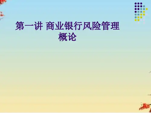 商业银行风险管理概论培训教程(ppt 66页)
