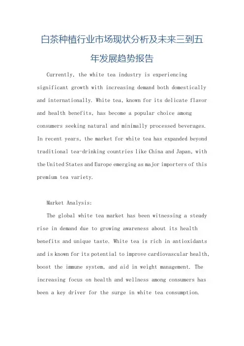 白茶种植行业市场现状分析及未来三到五年发展趋势报告