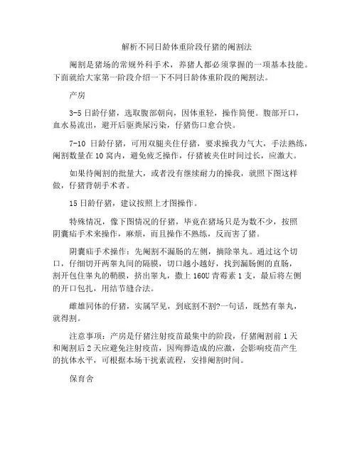 解析不同日龄体重阶段仔猪的阉割法