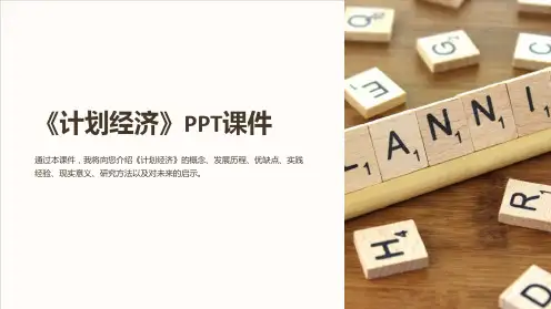 《计划经济》课件
