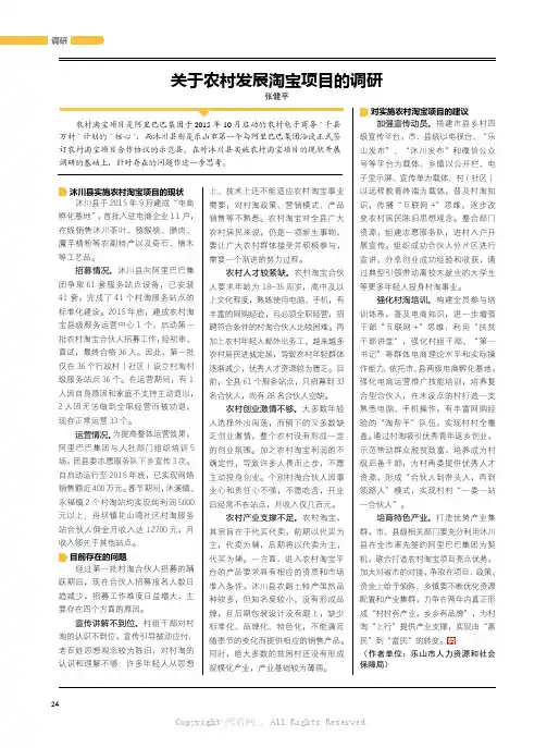 10888053_关于农村发展淘宝项目的调研
