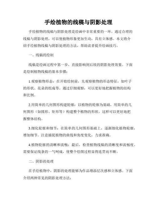 手绘植物的线稿与阴影处理