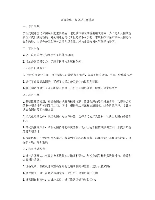 公园亮化工程分析方案模板