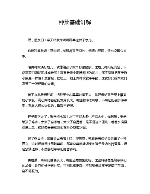 种莱基础讲解