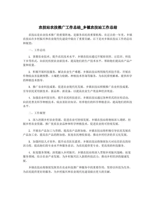 农技站农技推广工作总结_乡镇农技站工作总结