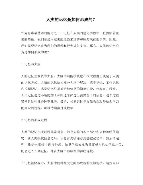 人类的记忆是如何形成的？