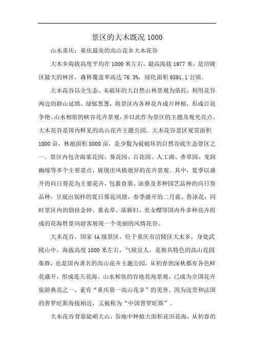 景区的大木既况1000
