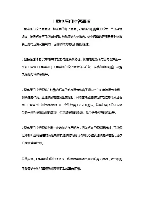 l型电压门控钙通道