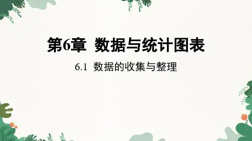 6.1 数据的收集与整理 浙教版数学七年级下册课件