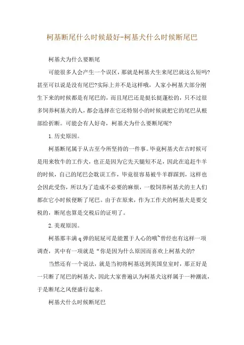 柯基断尾什么时候最好-柯基犬什么时候断尾巴