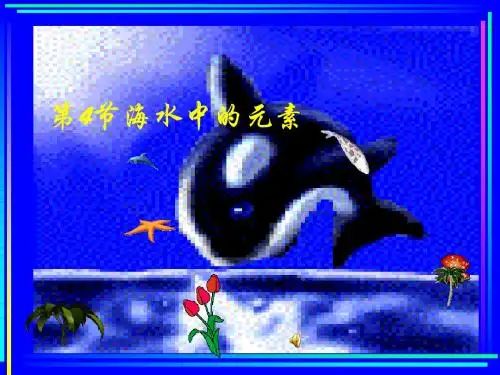 化学课件《海水中的元素》优秀ppt3 人教课标版