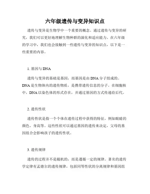 六年级遗传与变异知识点