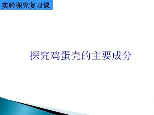 省级中小学化学实验说课比赛一等奖——探究鸡蛋壳的主要成分