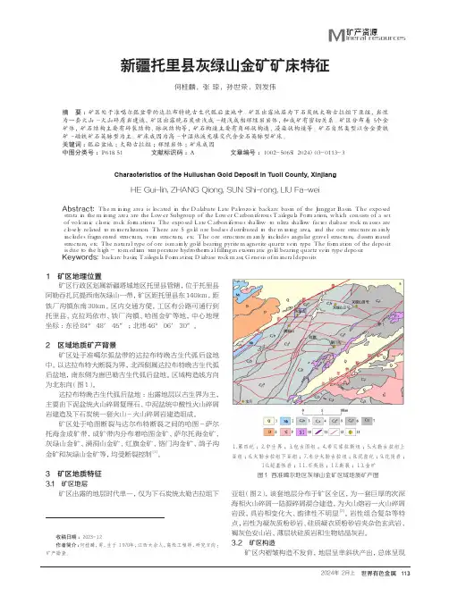 新疆托里县灰绿山金矿矿床特征