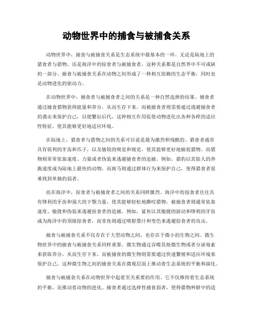 动物世界中的捕食与被捕食关系