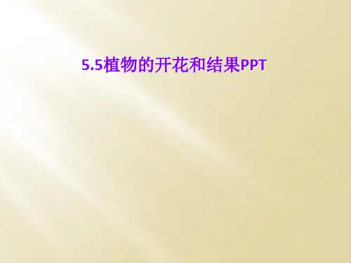 5.5植物的开花和结果PPT