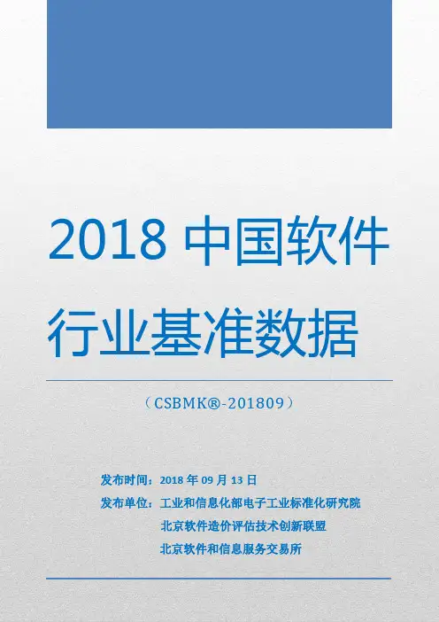 2018-2019年中国软件行业基准数据