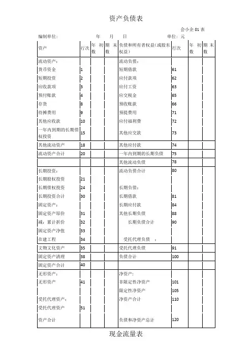 资产负债表和现金流量表模板(空白)