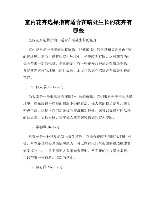 室内花卉选择指南适合在暗处生长的花卉有哪些