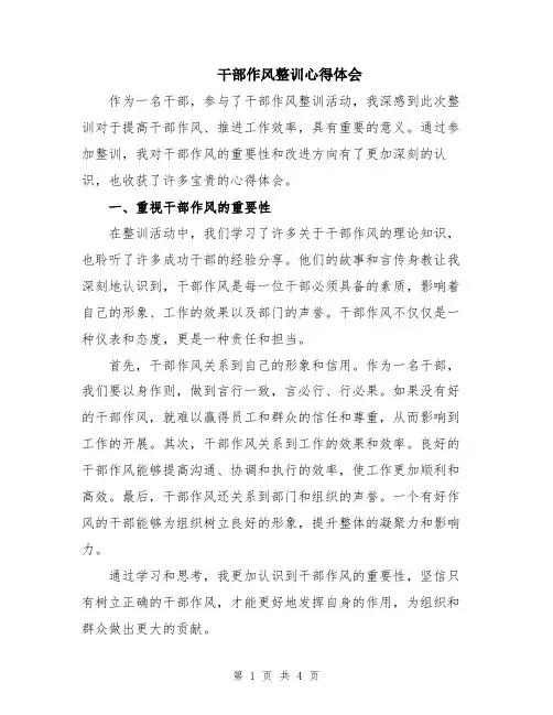 干部作风整训心得体会