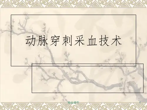 动脉采血技术PPT课件