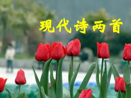2《现代诗两首·长城谣·一片槐树叶》课件