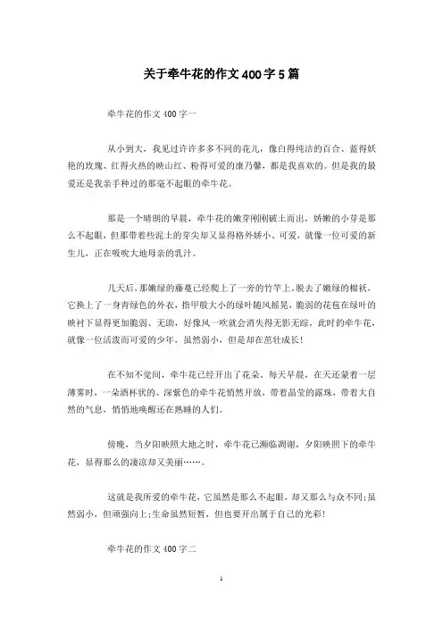 关于牵牛花的作文400字5篇