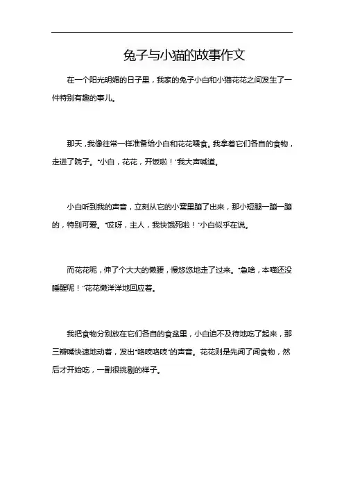 兔子与小猫的故事作文