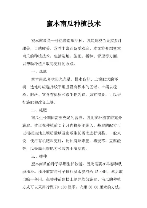 蜜本南瓜种植技术