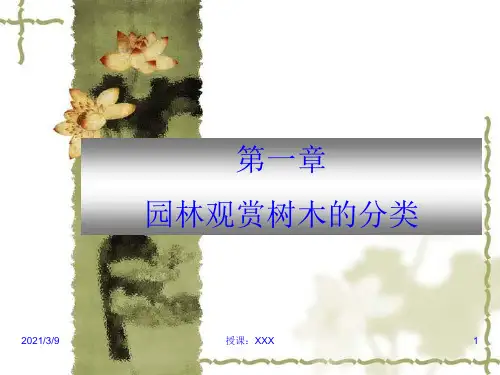 园林观赏树木的分类PPT课件