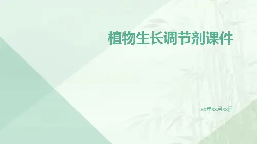 植物生长调节剂课件ppt