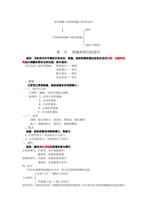 细胞和组织的适应、损伤与修复