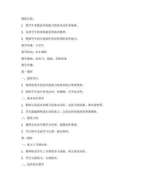 大学生武术初级刀教案
