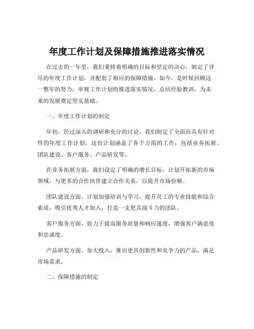年度工作计划及保障措施推进落实情况