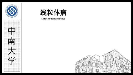 医学遗传学：线粒体病