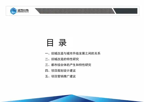 江油三合镇旧城改造项目提案-70PPT