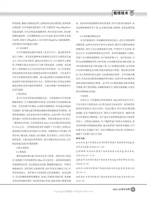 香格里拉优质马铃薯高产栽培技术要点应用