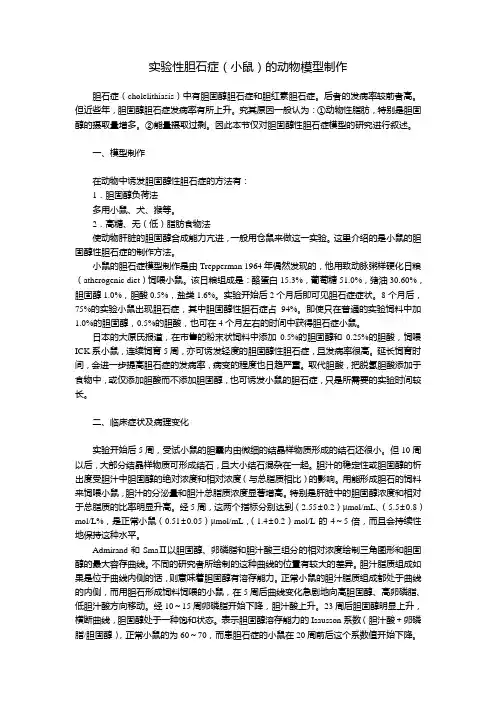 实验性胆石症(小鼠)的动物模型制作