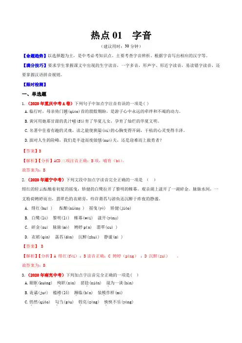 中考语文专练字音(解析版)